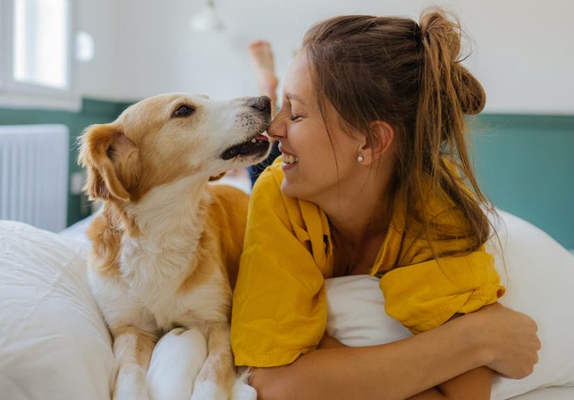 The Washer-Dryer System Changing the Game for Pet Parents