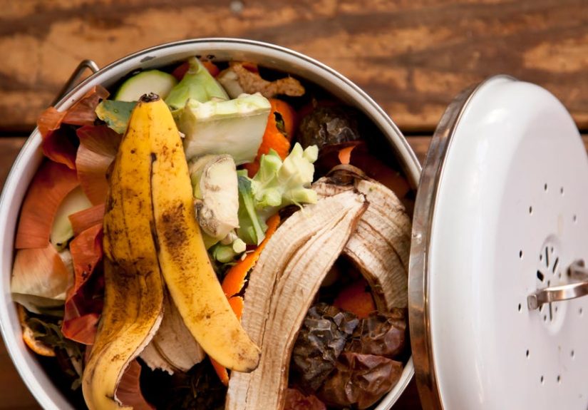Your Leftovers Can Be Shocked Into Making Fuel