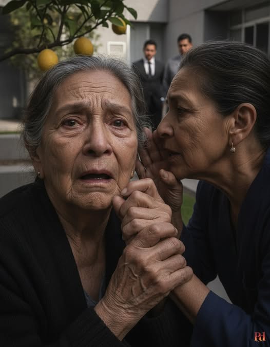 Uno de los enfermeros me sujetó por el brazo. 1 727220596 122115178689350841 7090688049341473412 n
